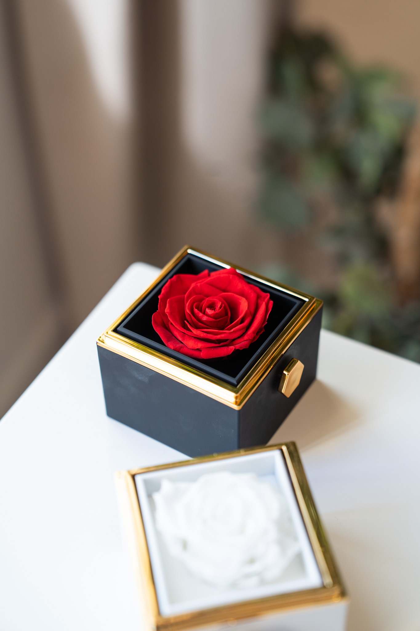     Magic Rose Box